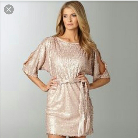 pale pink sequin dress